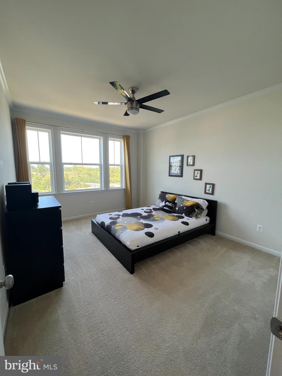 24533 GLENVILLE GROVE TER
