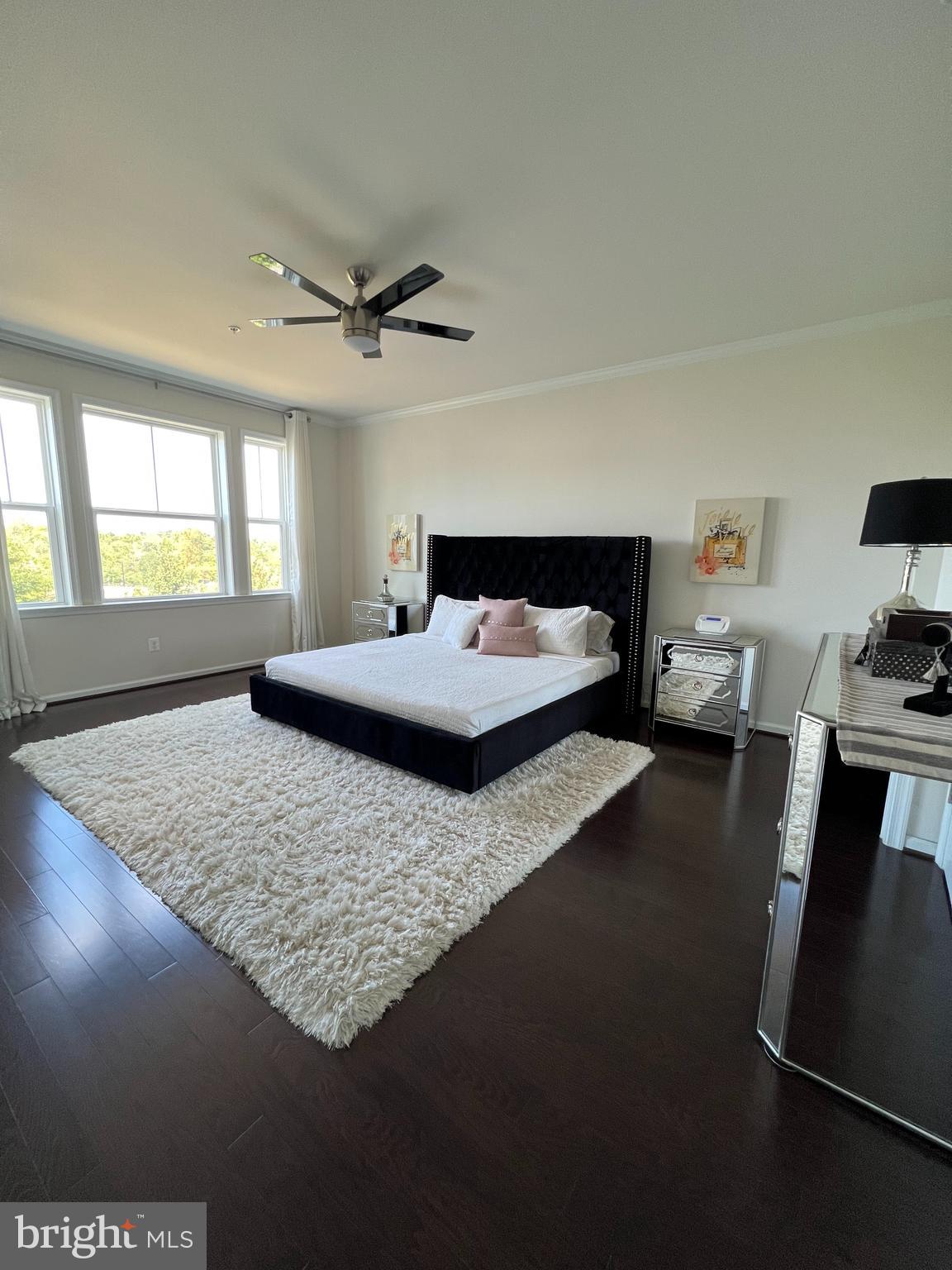 24533 GLENVILLE GROVE TER