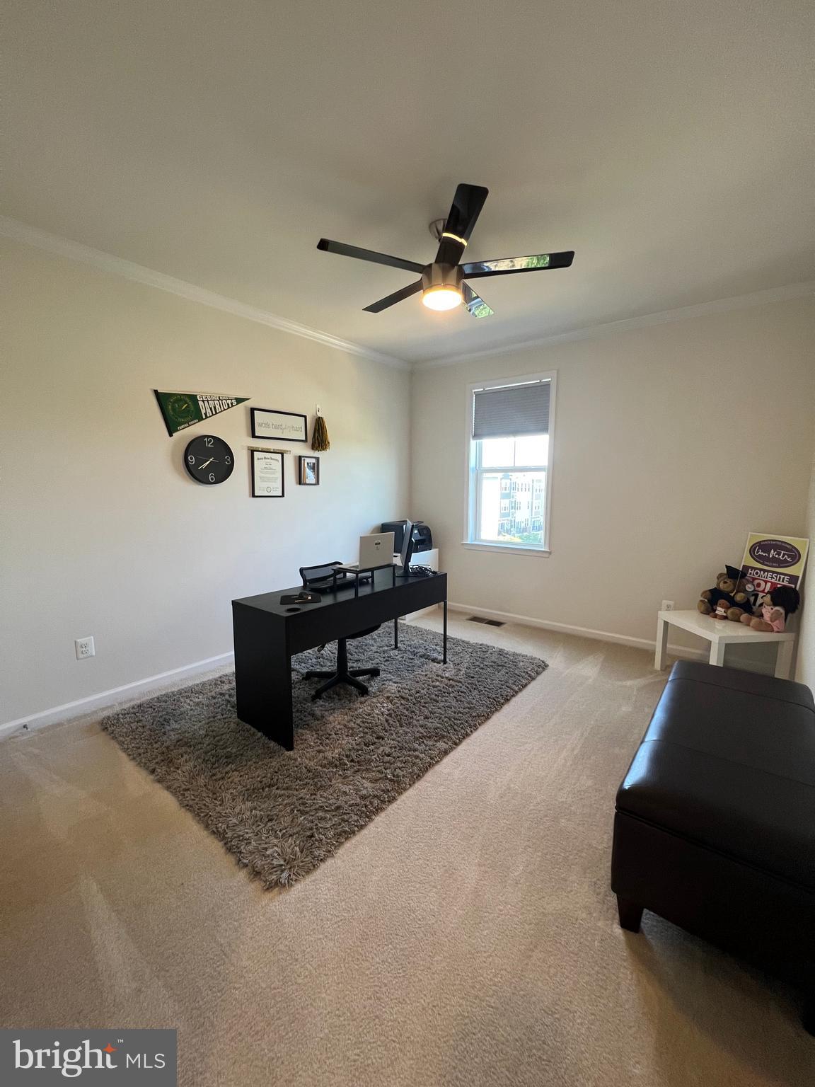 24533 GLENVILLE GROVE TER
