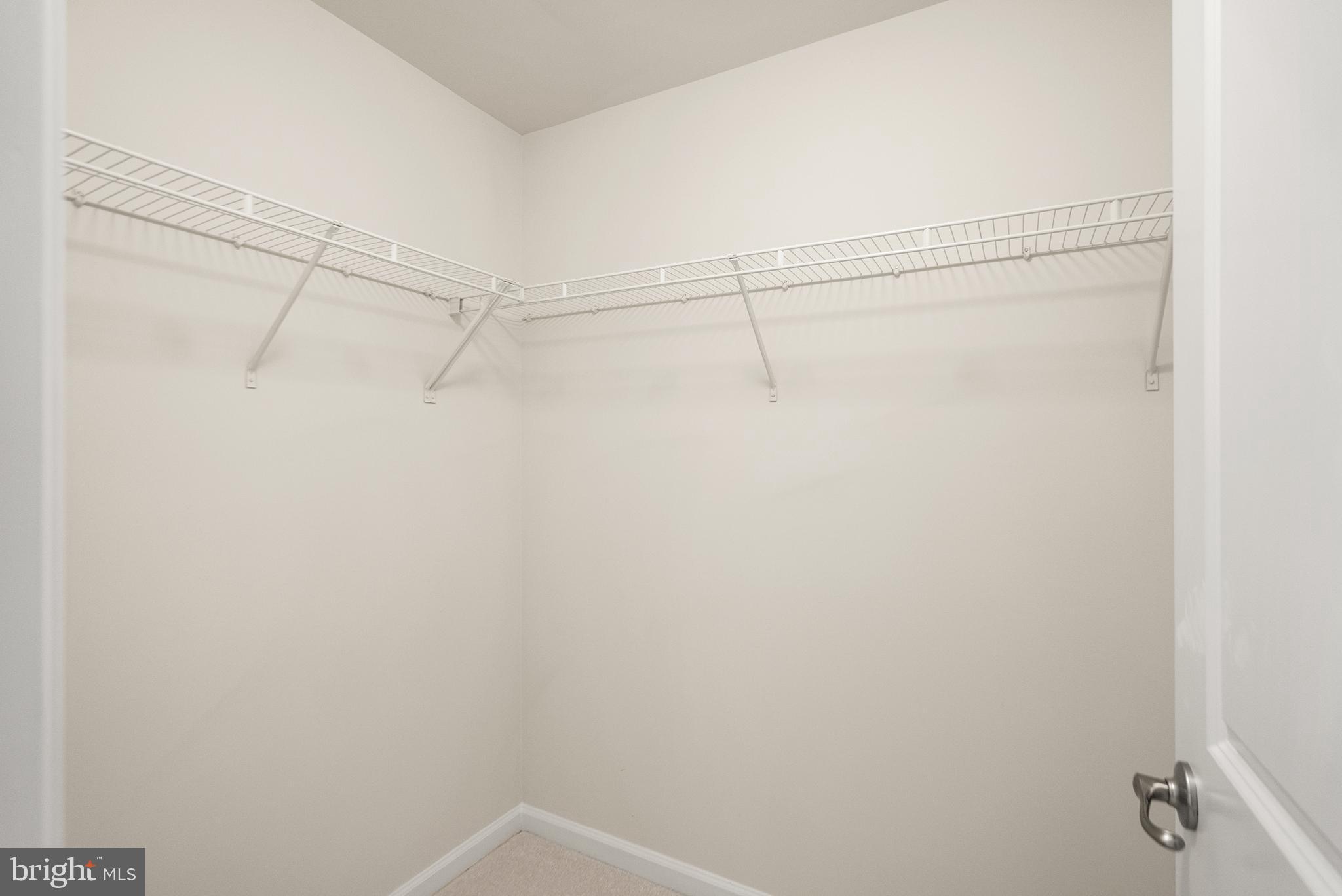 22908 Chinkapin Oak Ter