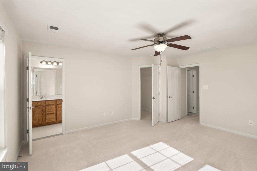 22908 Chinkapin Oak Ter