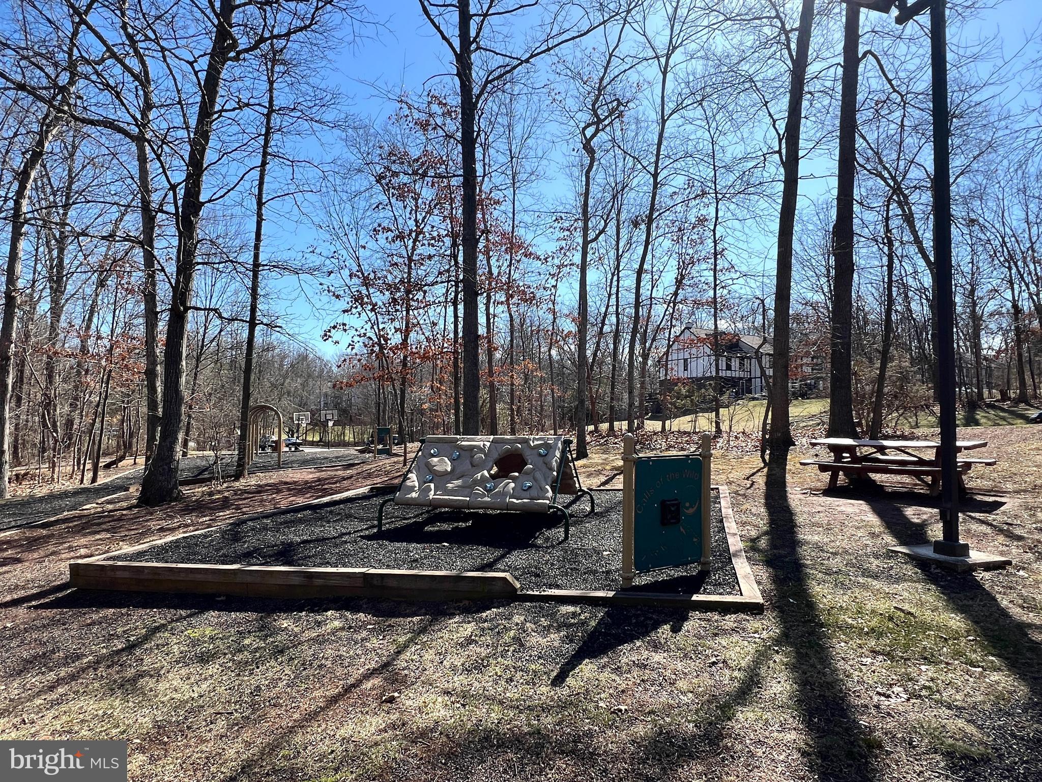 295 Chelmsford Ct