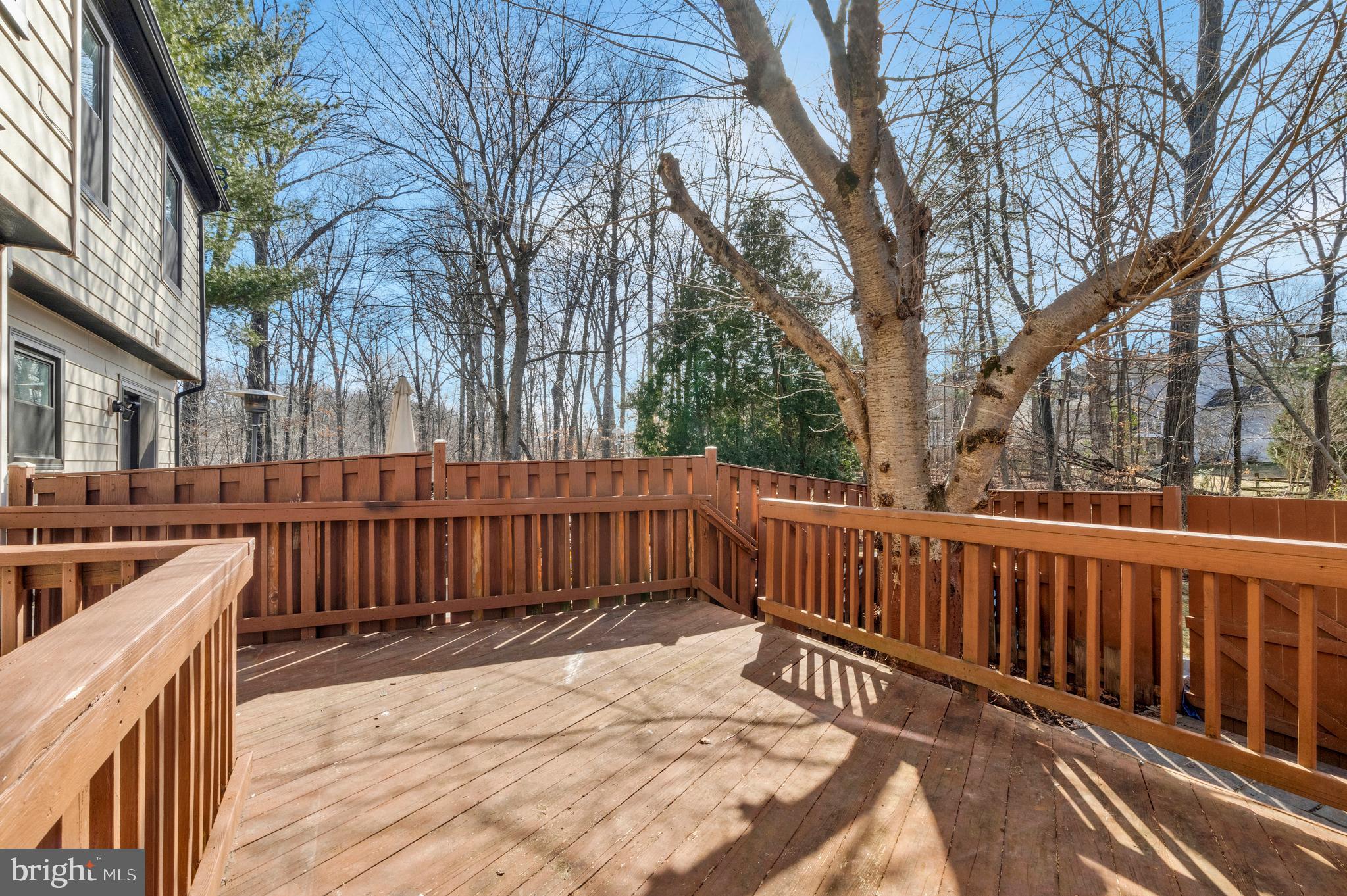295 Chelmsford Ct