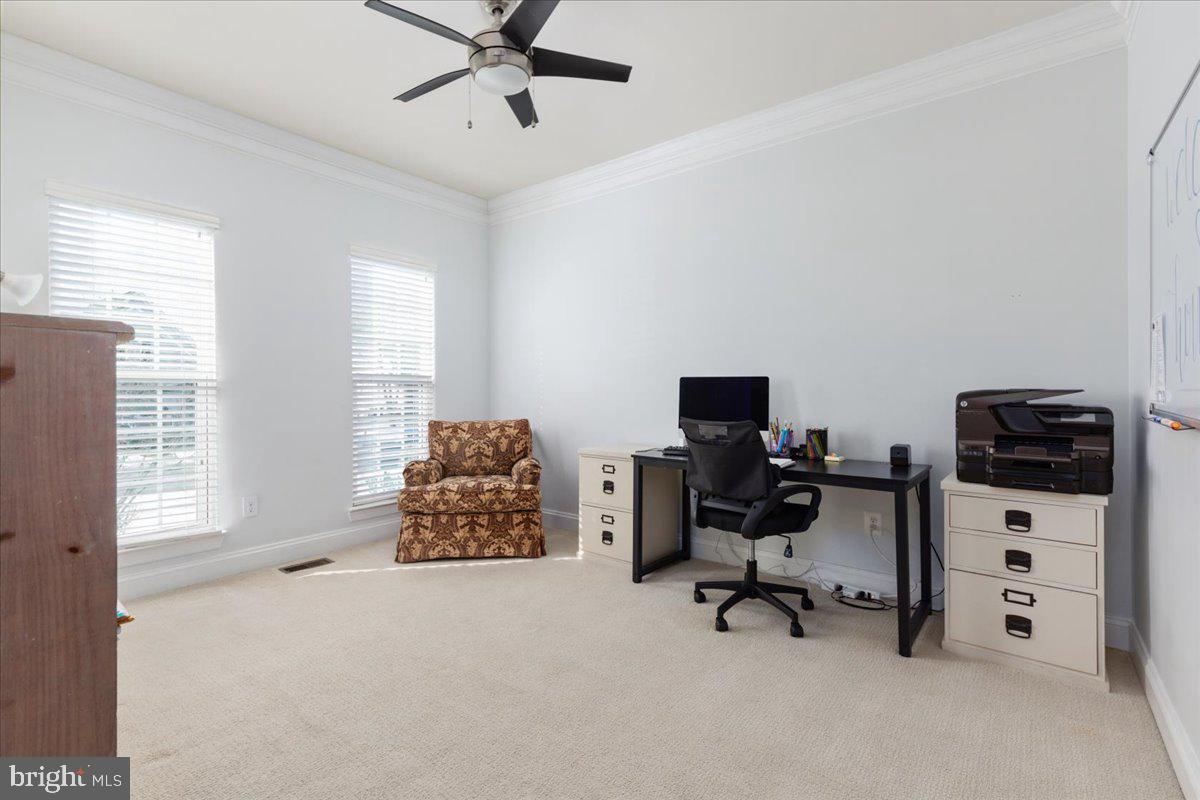 25796 Success Dr