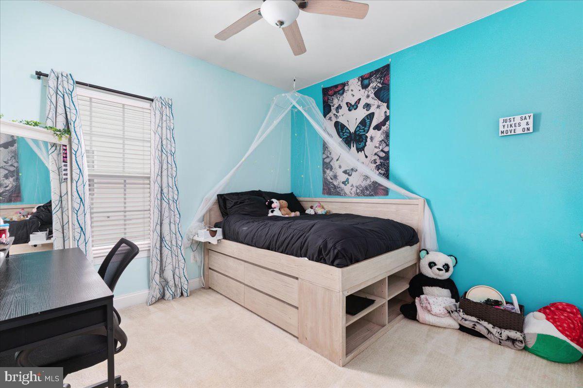25796 Success Dr