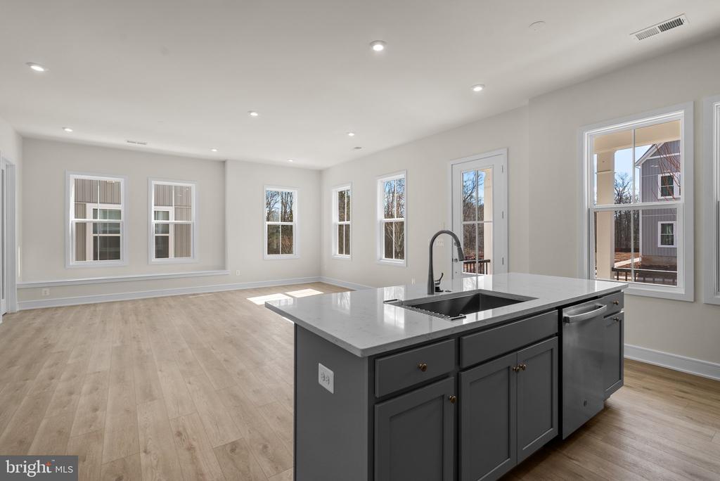 41913 Hogan Forest Ter