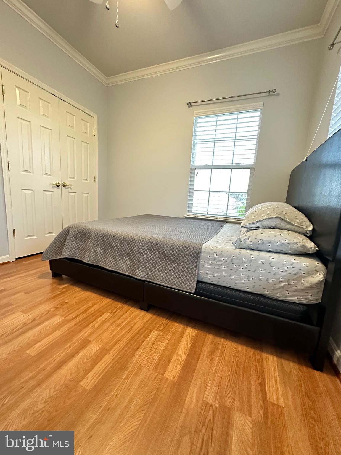 44251 HURON TER
