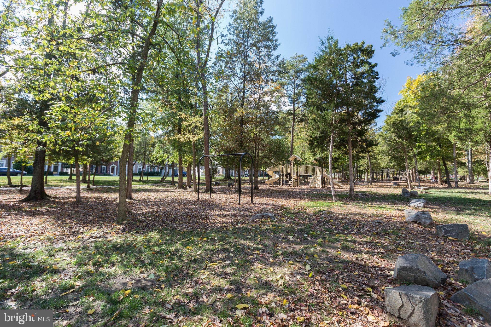 42461 SPRING SPLENDOR DR