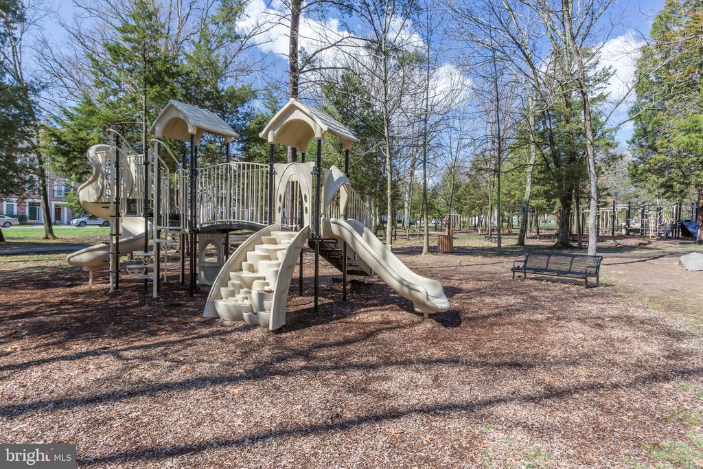 42461 SPRING SPLENDOR DR