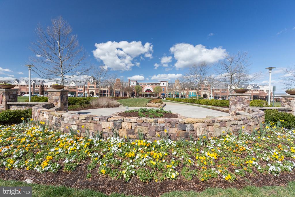 42461 SPRING SPLENDOR DR