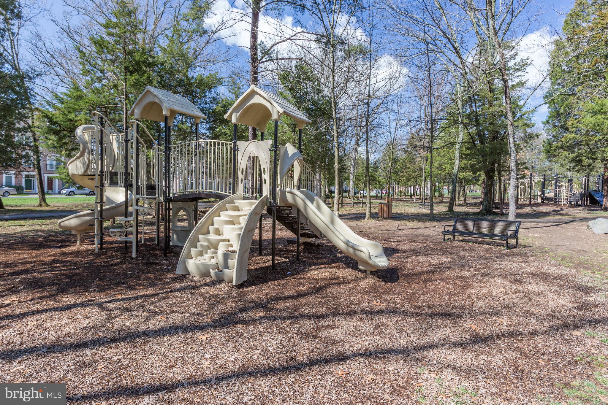 42461 SPRING SPLENDOR DR