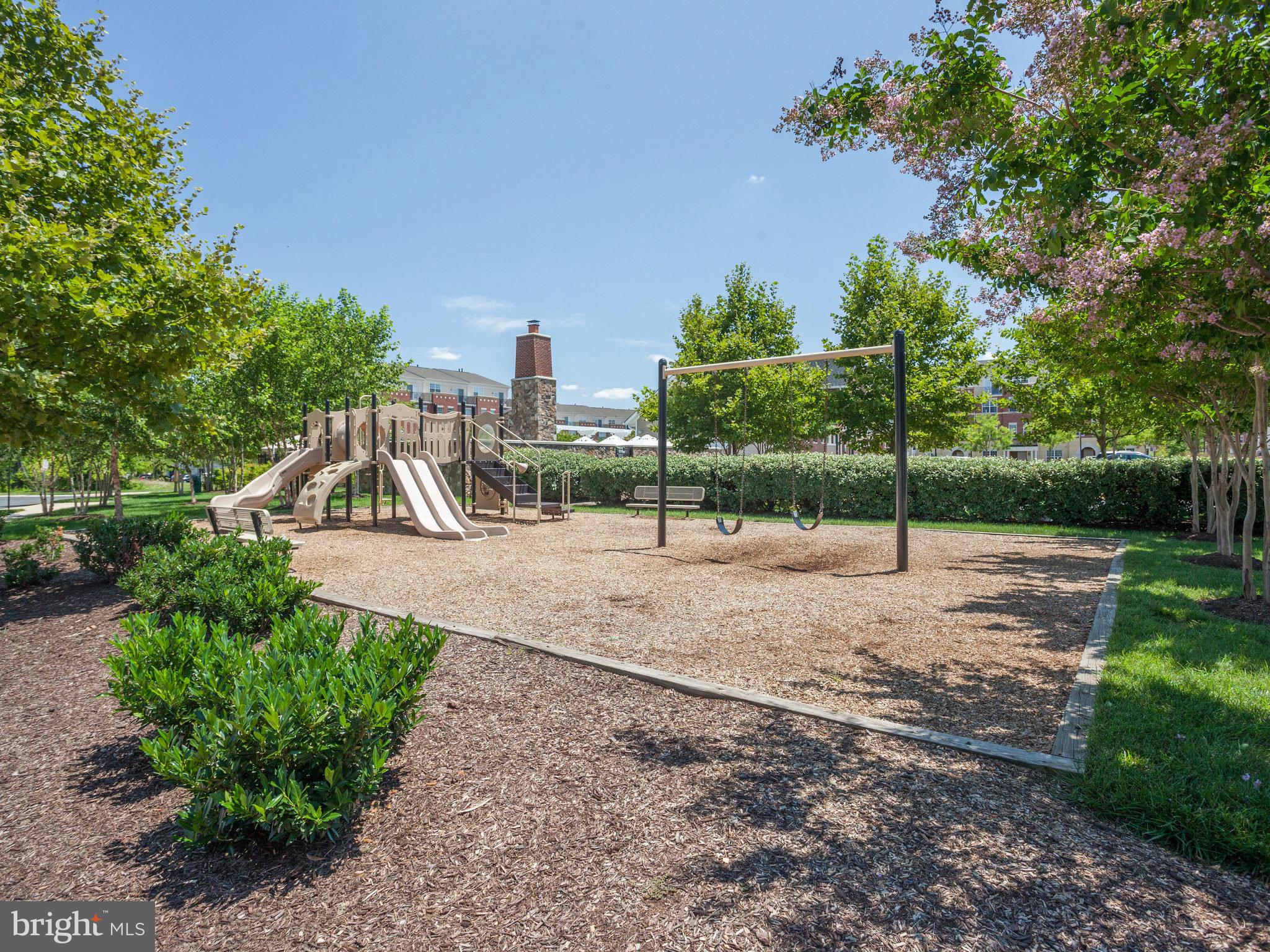 42461 SPRING SPLENDOR DR