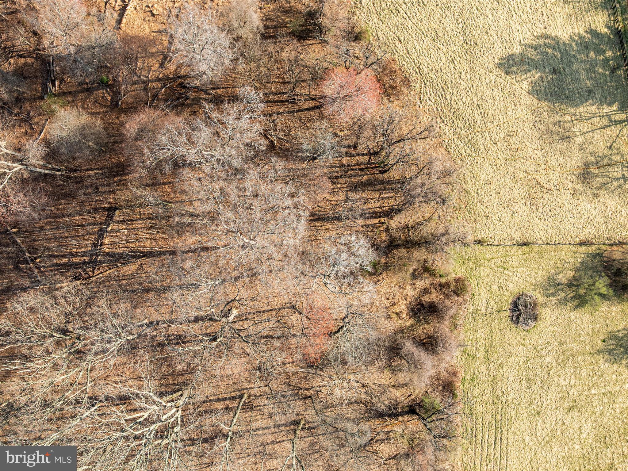 12888-A James Monroe Highway