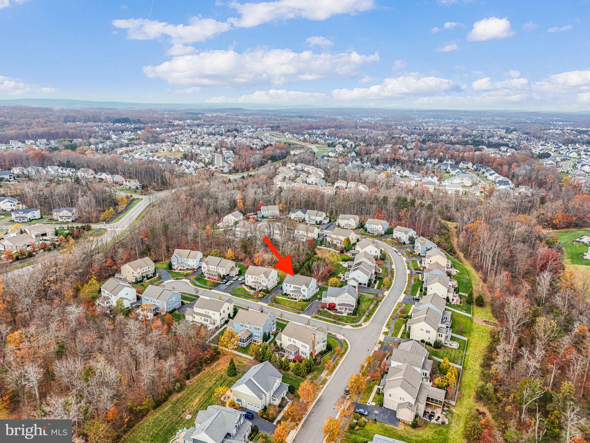 41150 White Cedar Ct
