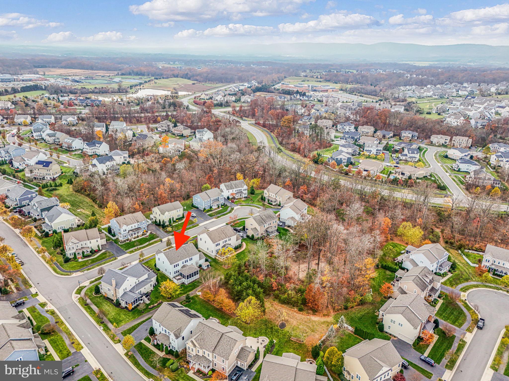 41150 White Cedar Ct