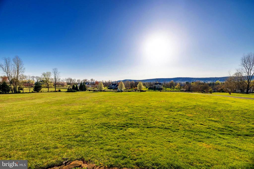 13662 Old Springhouse Ct