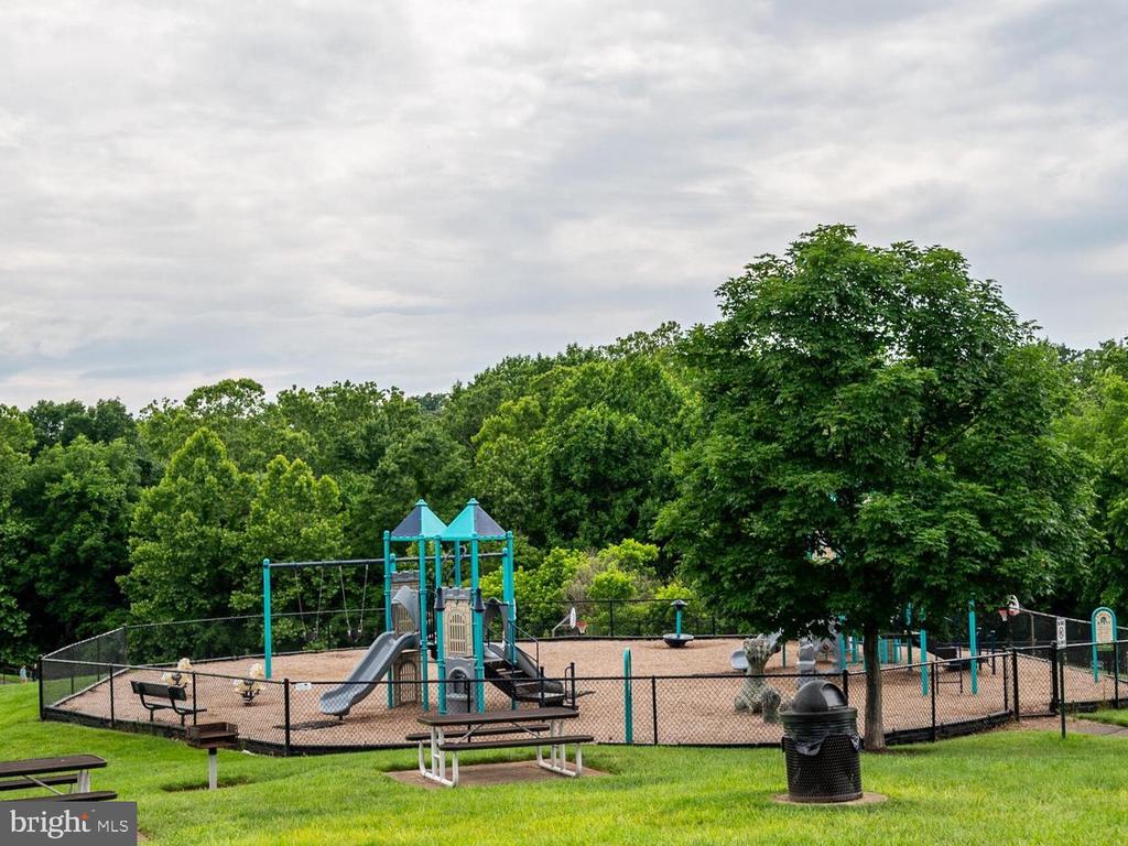 47348 Blackwater Falls Ter
