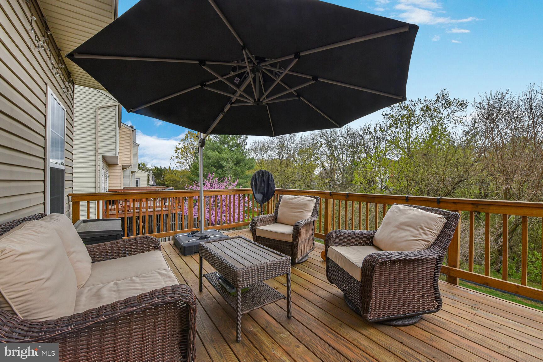 43311 Chokeberry Sq