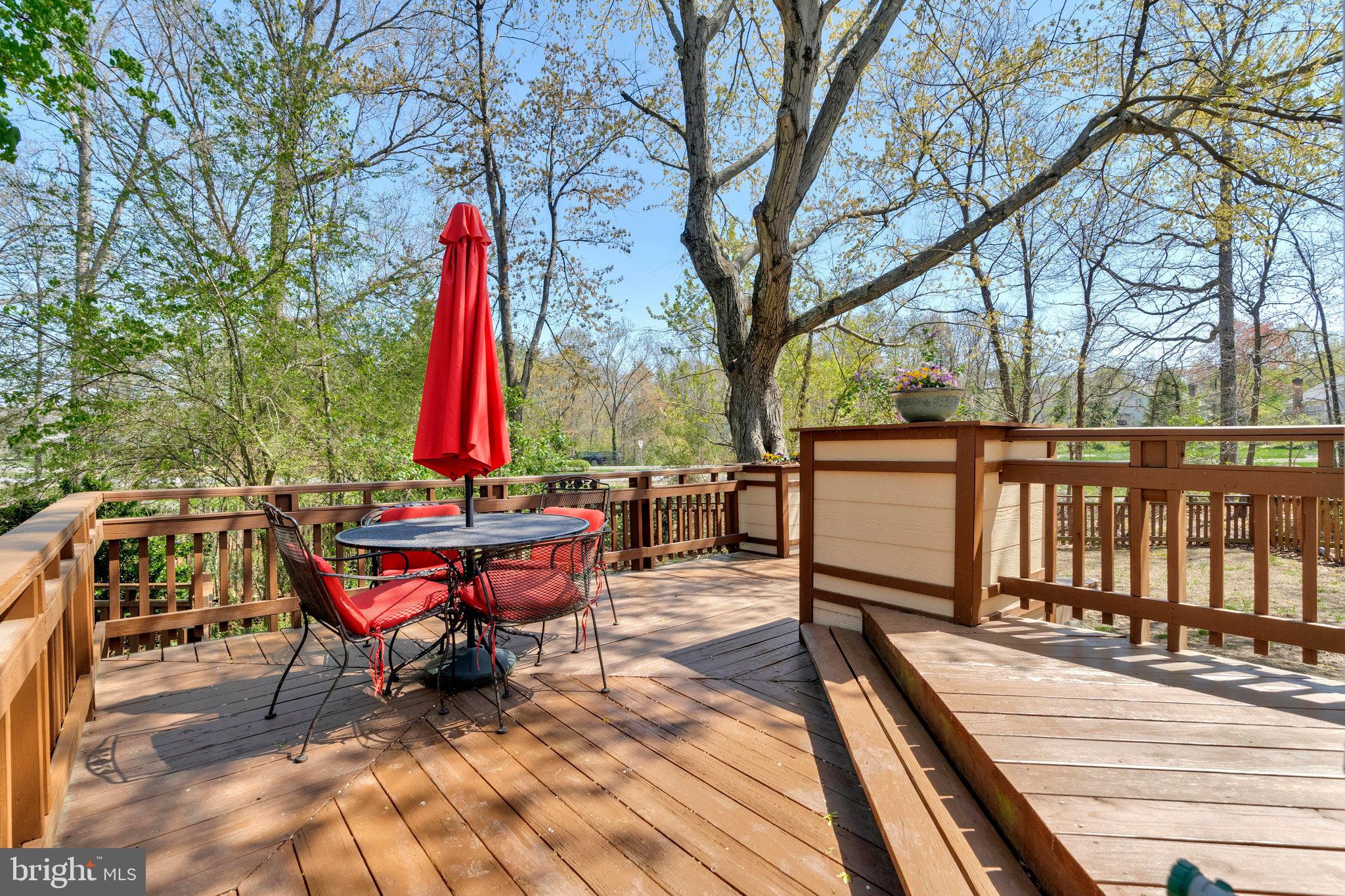 36 Ferguson Ct