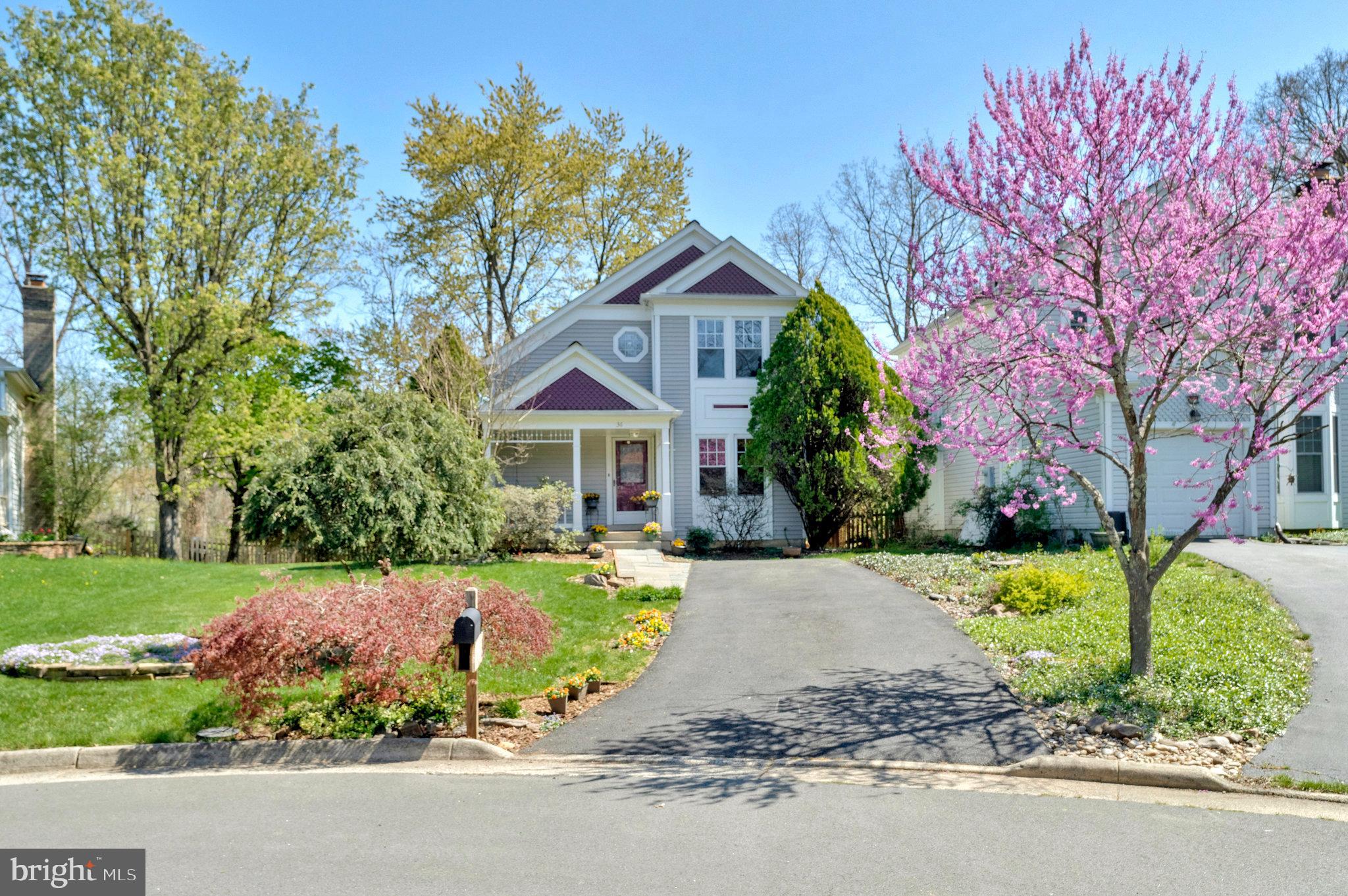 36 Ferguson Ct
