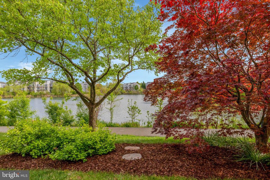 44053 Florence Ter