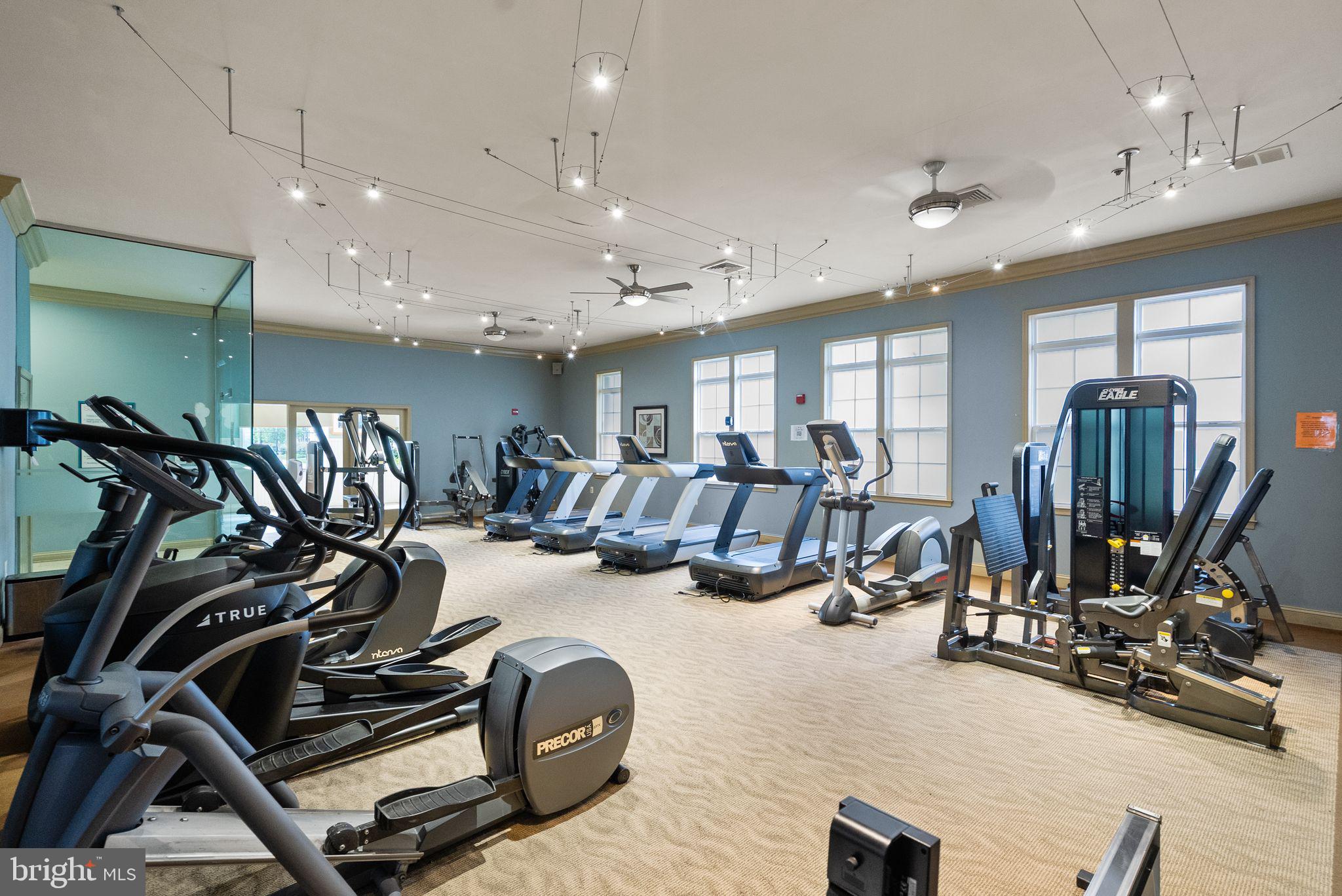 42432 Hollyhock Ter #101