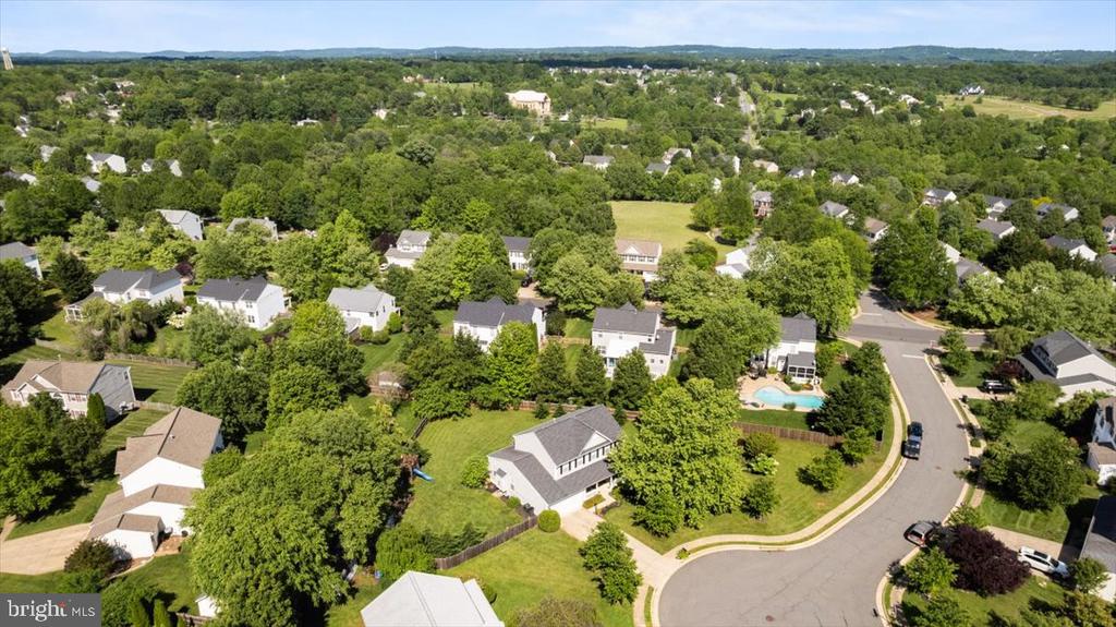 305 Daffodil Ct