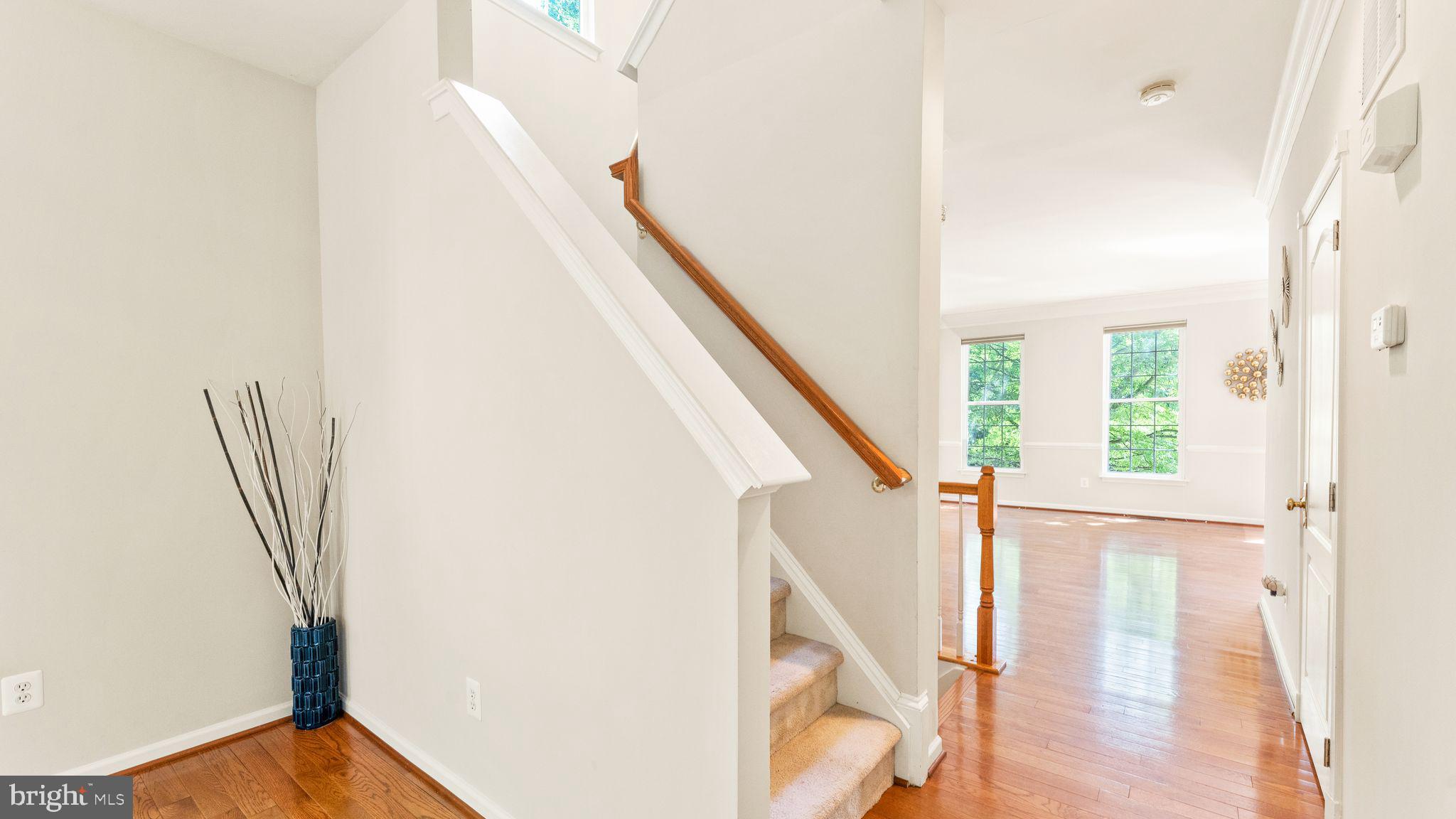 219 GRASSY RIDGE TER