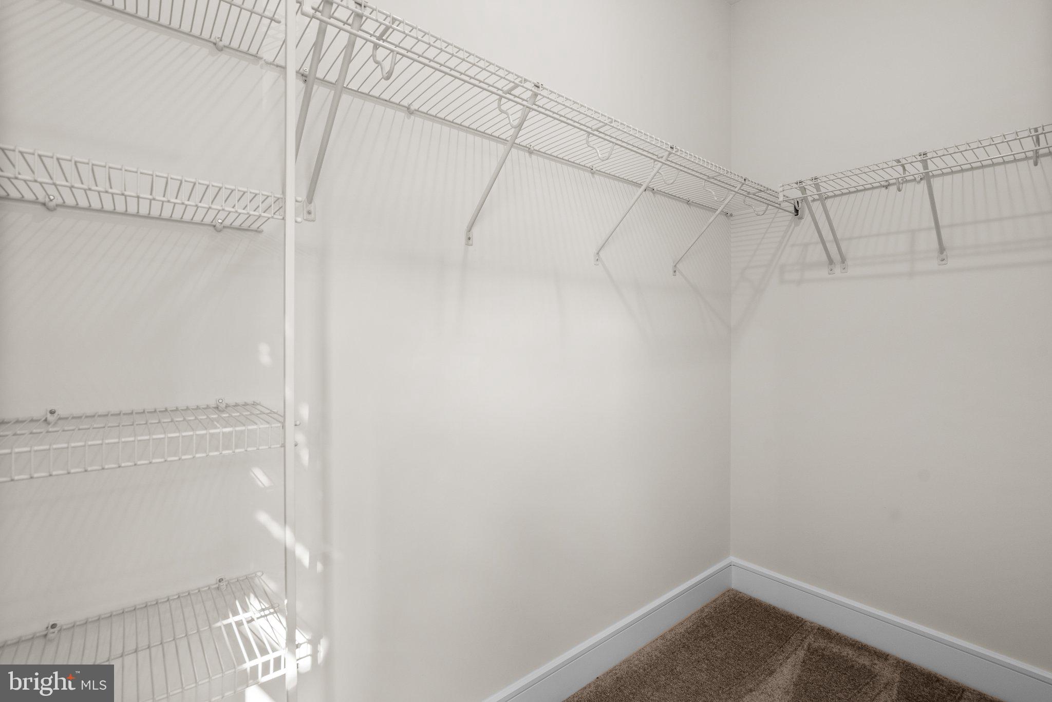 25493 Grassy Meadow Dr