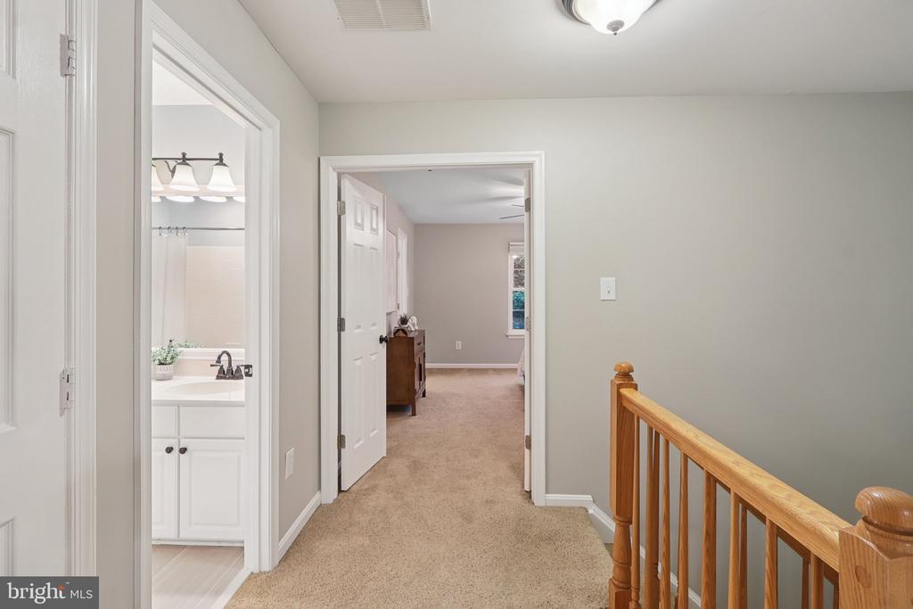 20409 Baseline Ter