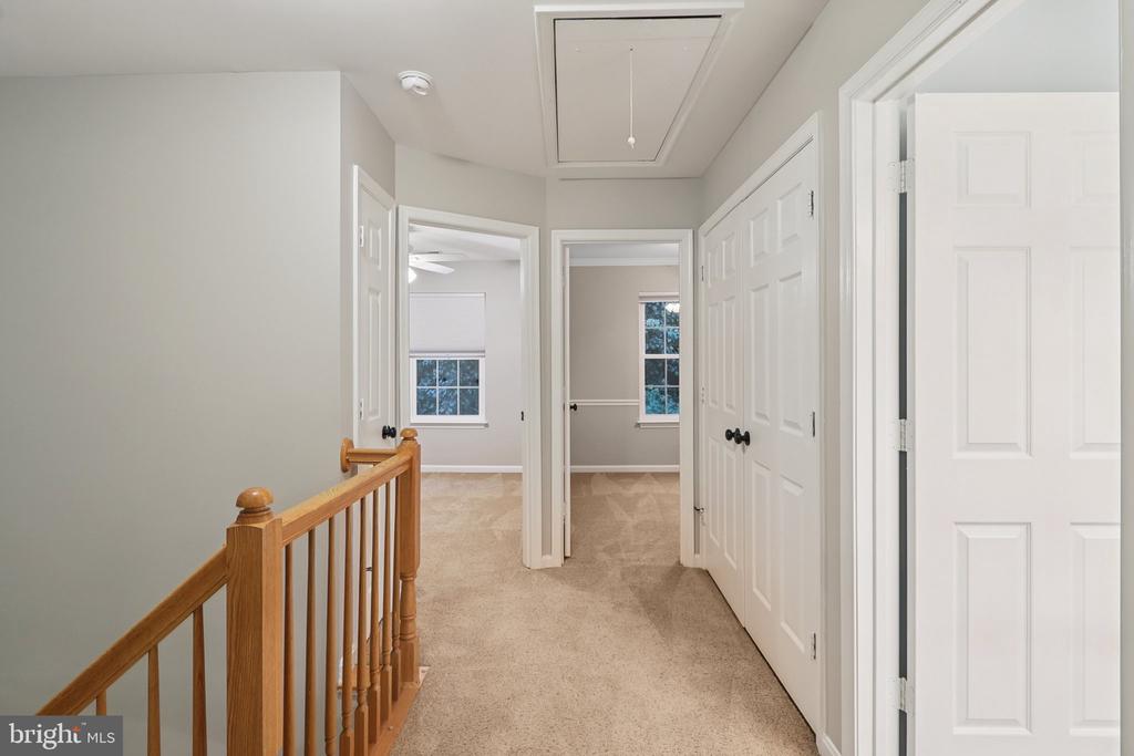 20409 Baseline Ter