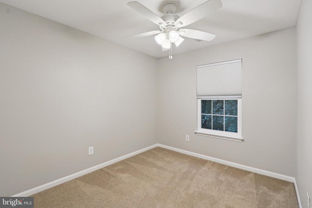20409 Baseline Ter