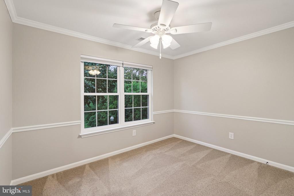 20409 Baseline Ter