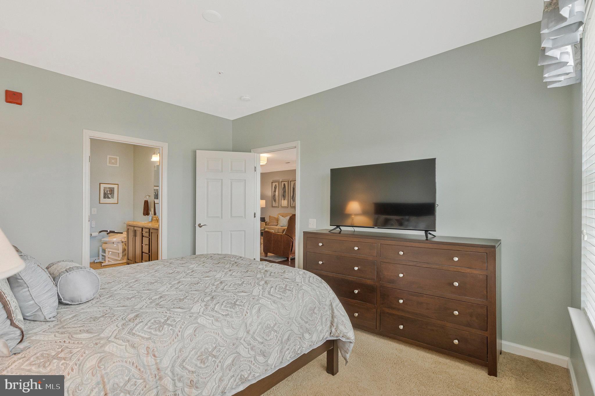 20620 Hope Spring Ter #401