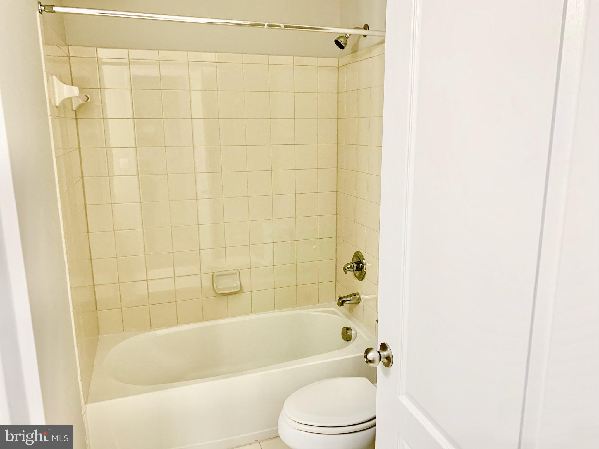 22646 WISPY GREEN TER