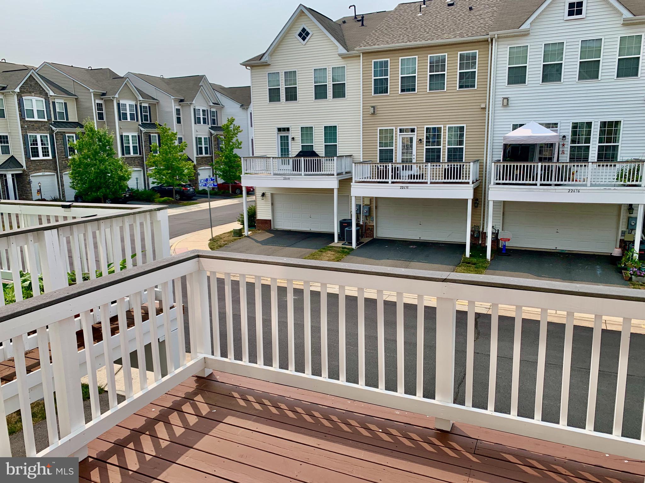 22646 WISPY GREEN TER