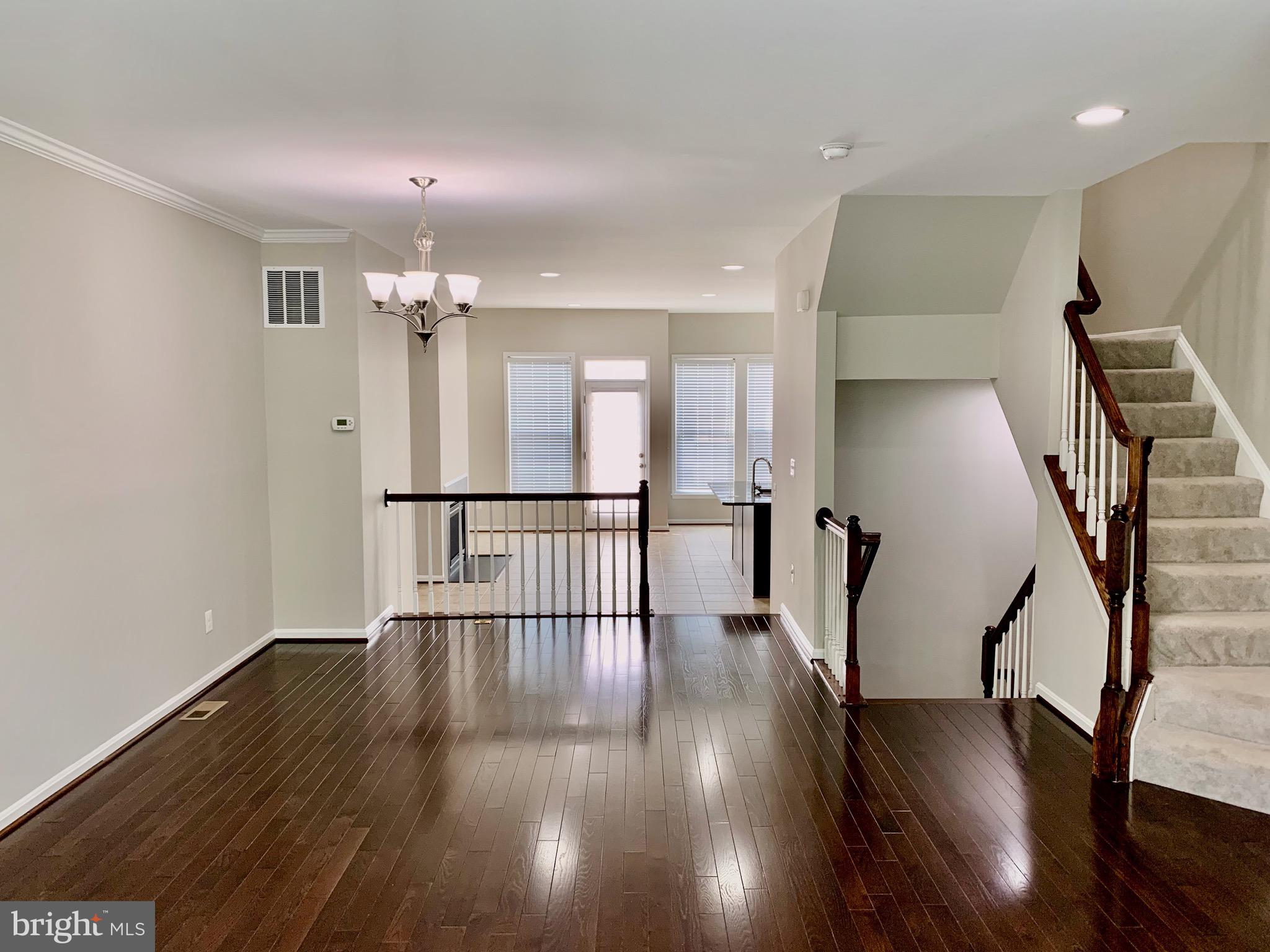 22646 WISPY GREEN TER