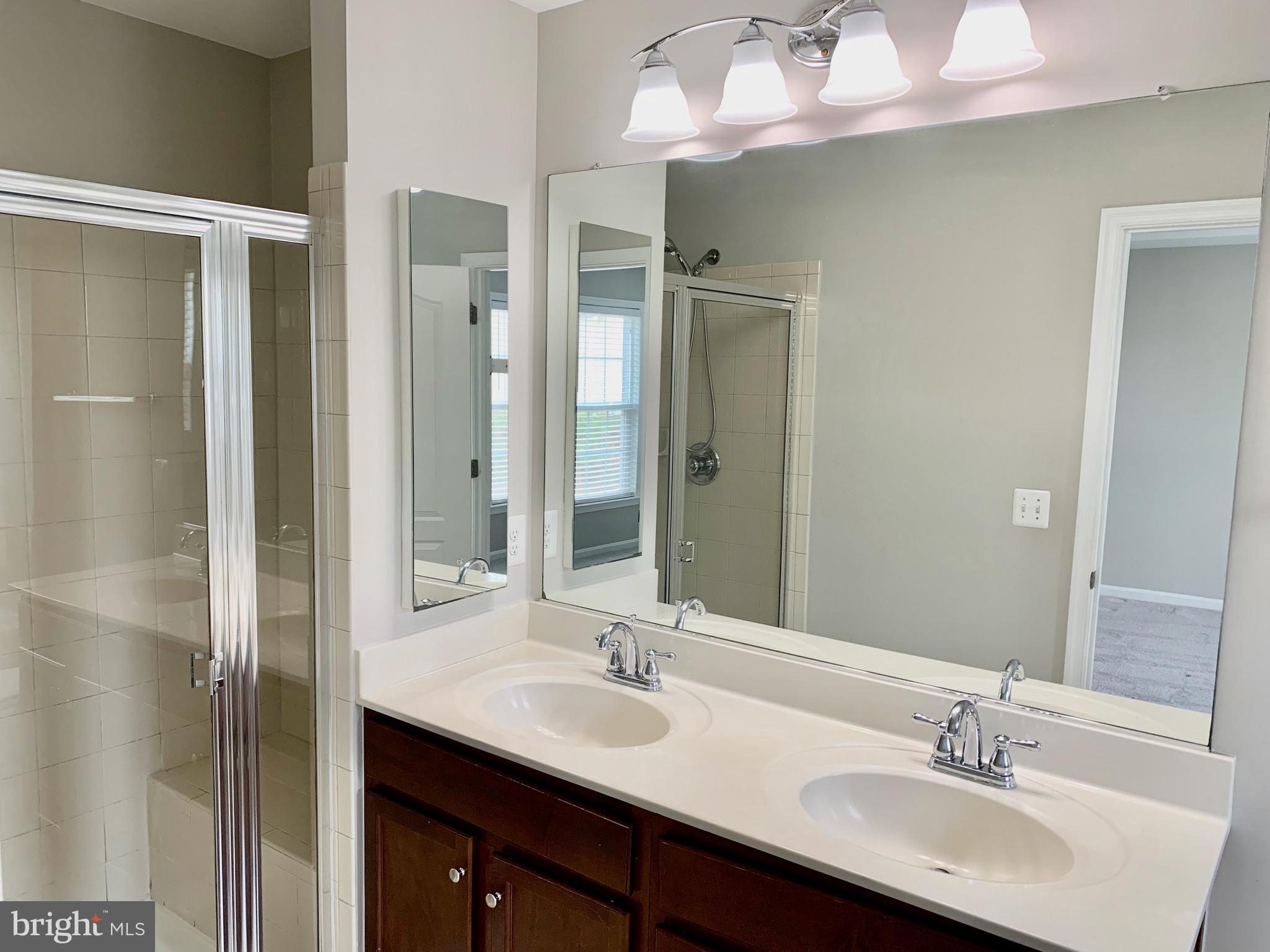 22646 WISPY GREEN TER