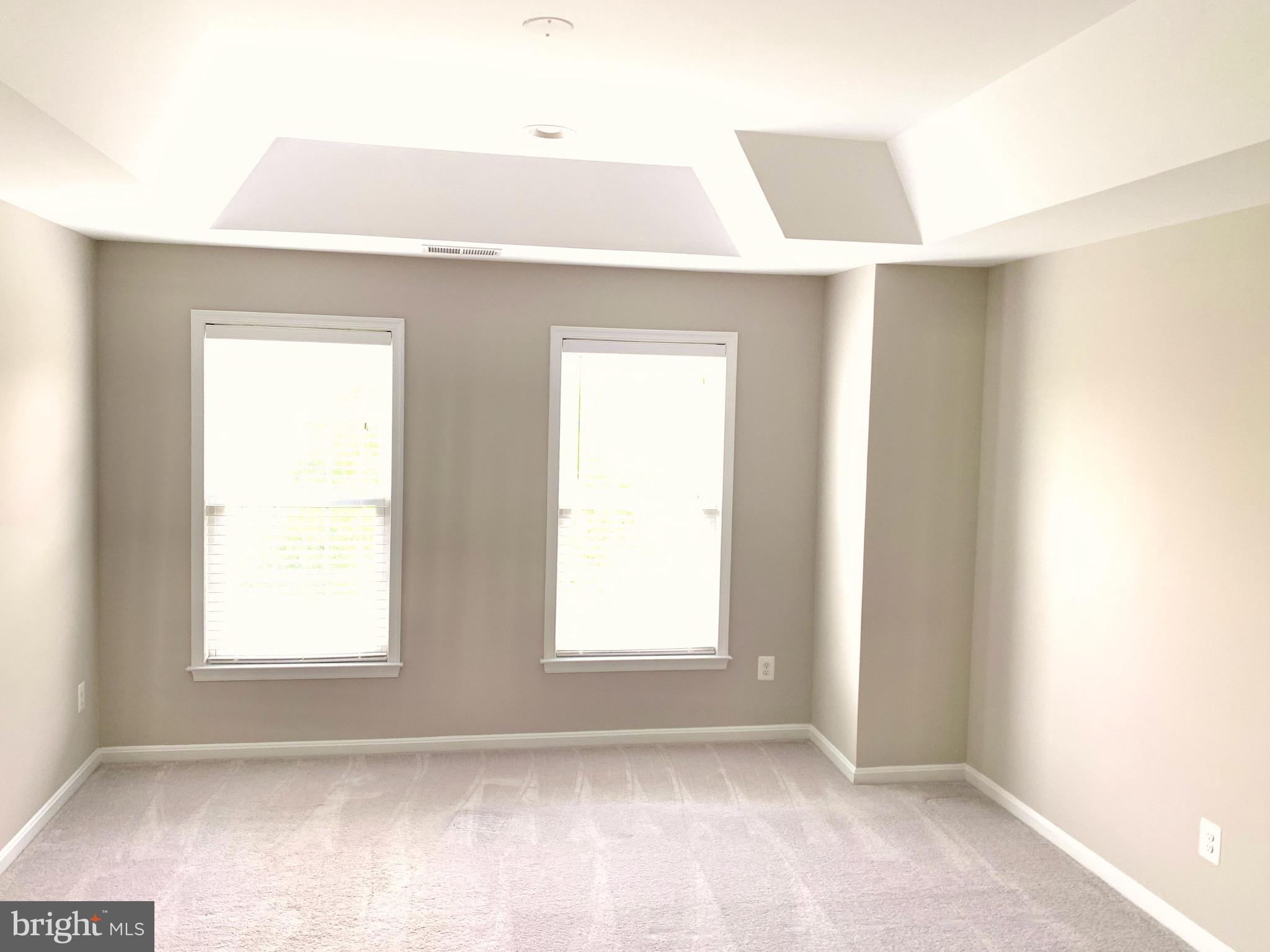 22646 WISPY GREEN TER