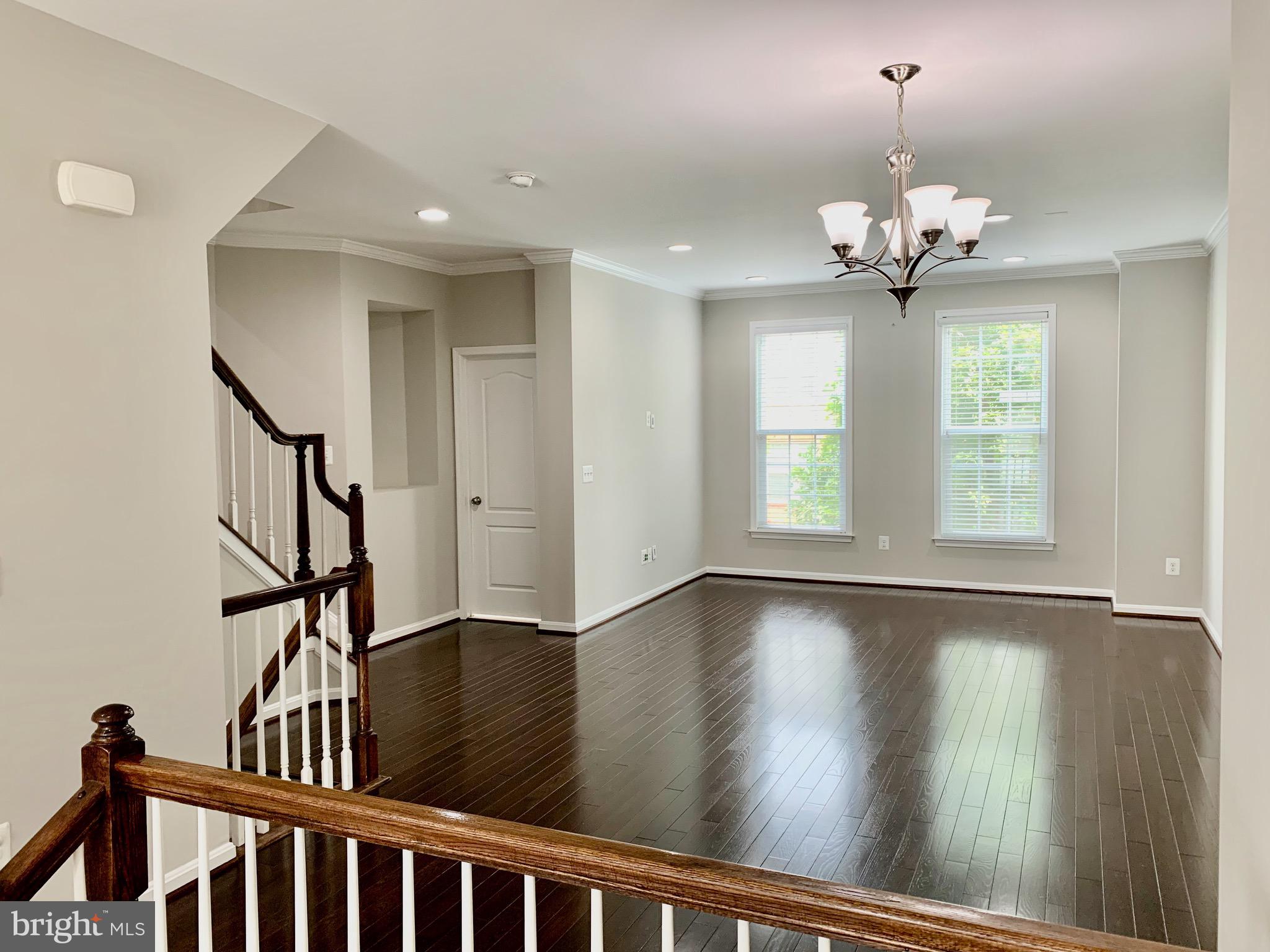 22646 WISPY GREEN TER