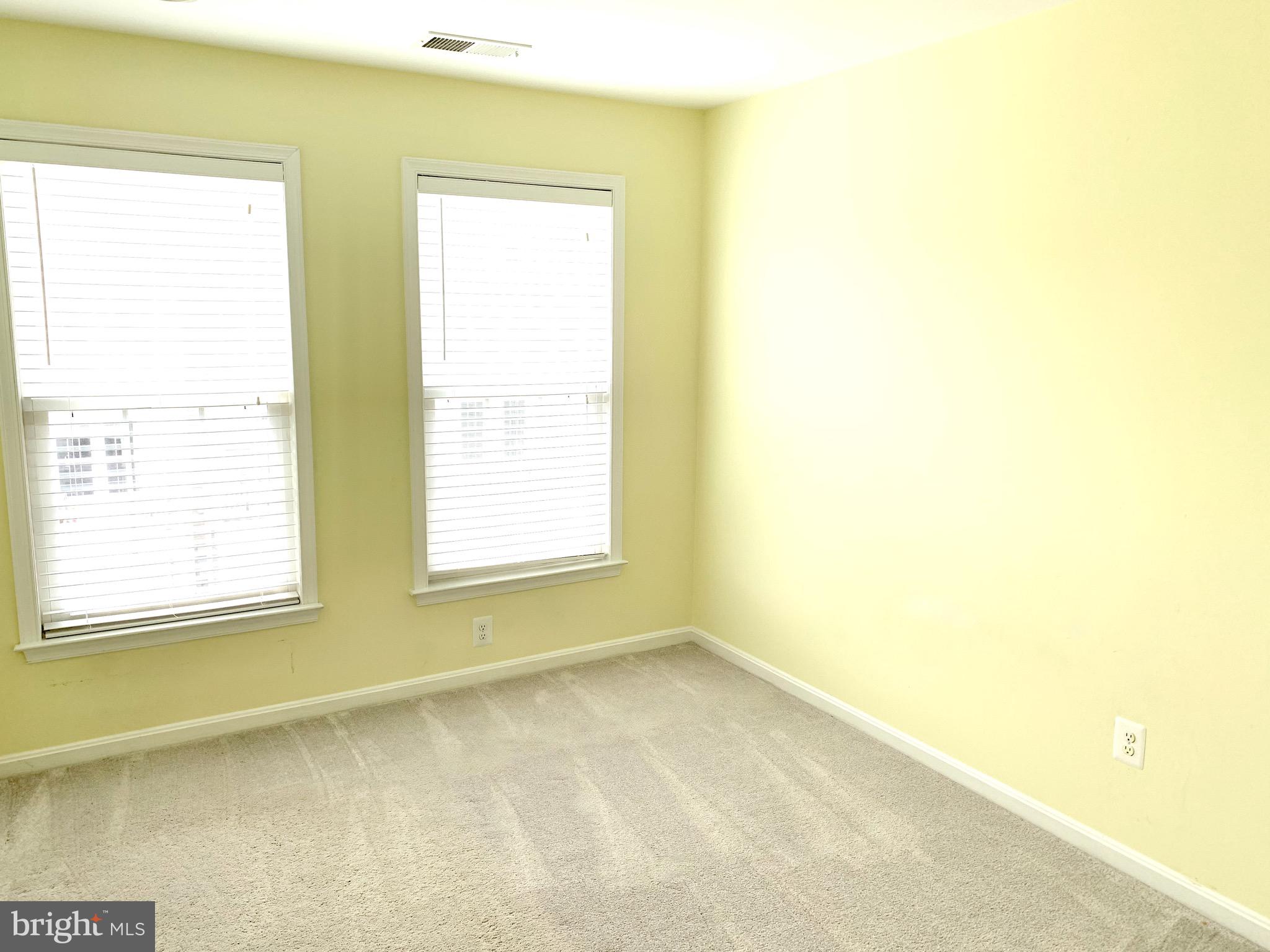 22646 WISPY GREEN TER