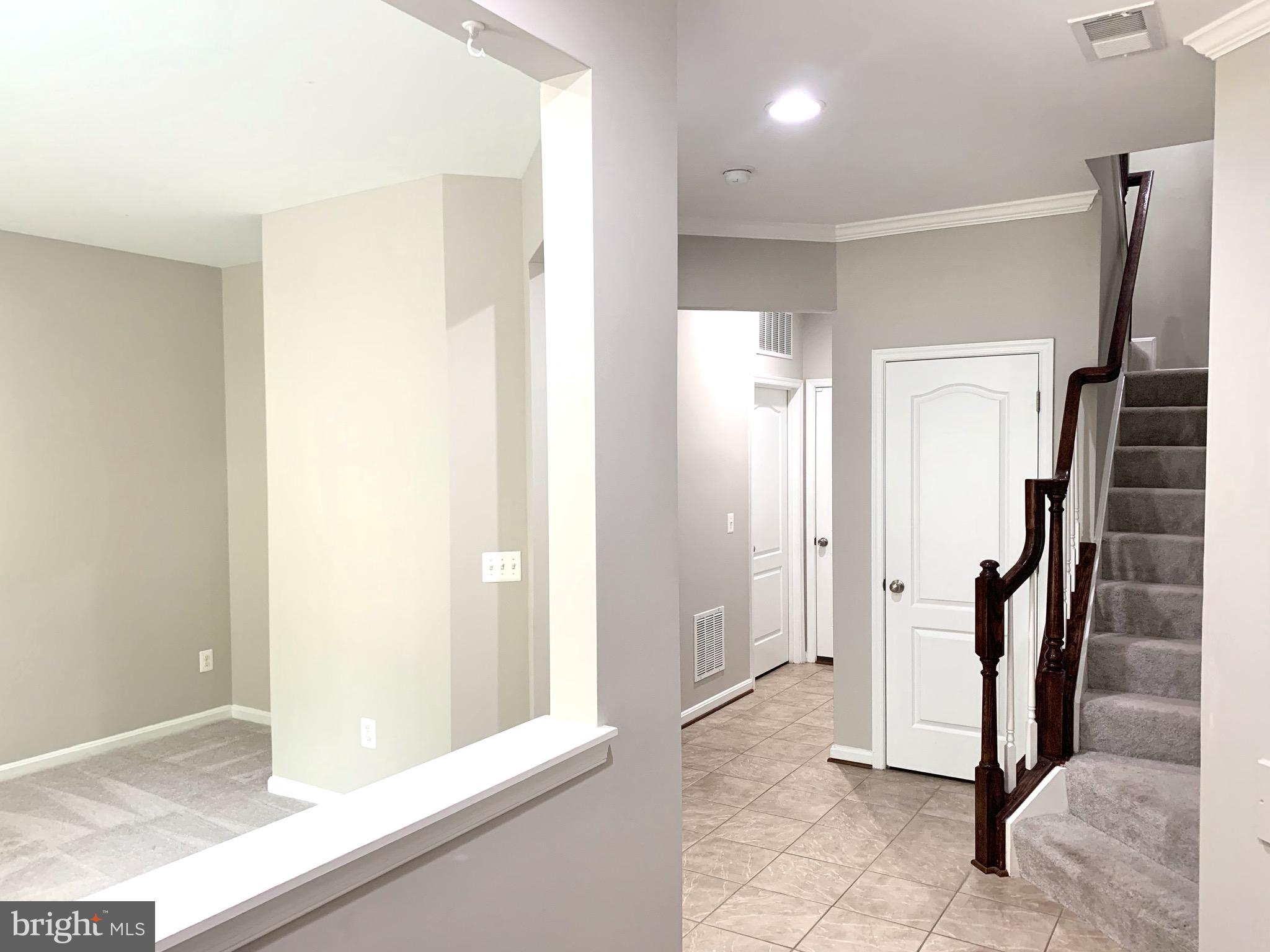 22646 WISPY GREEN TER