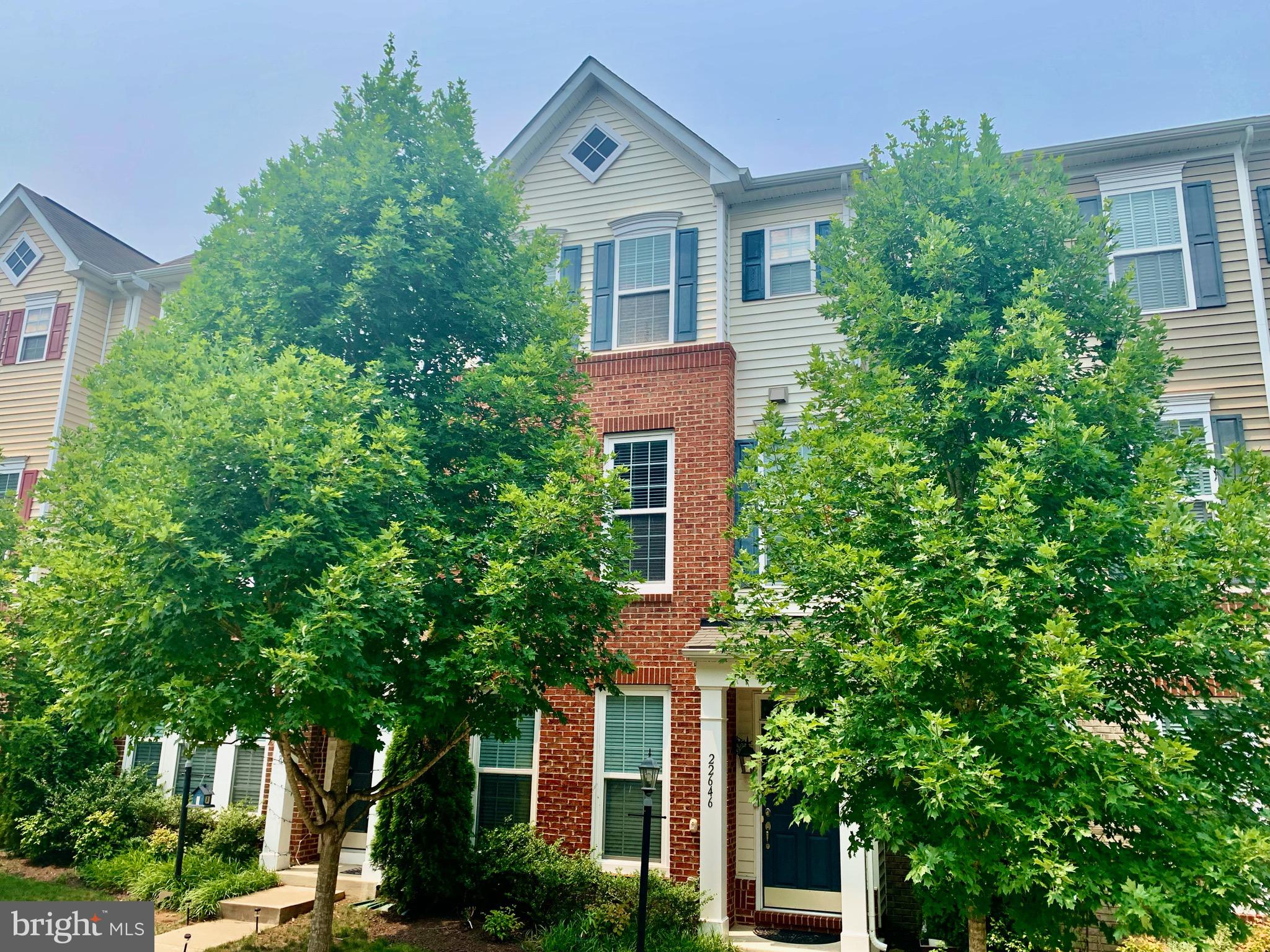 22646 WISPY GREEN TER