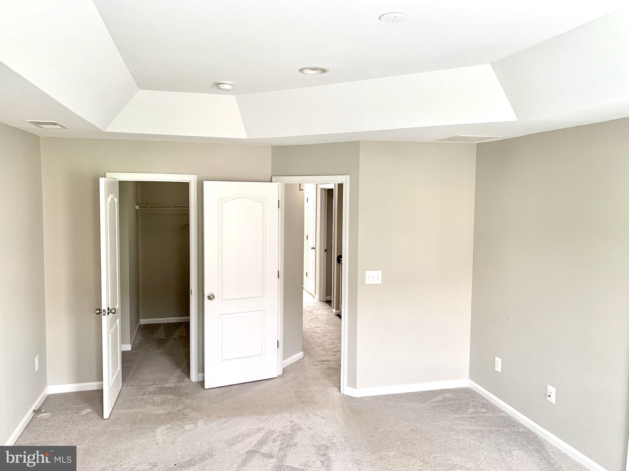 22646 WISPY GREEN TER