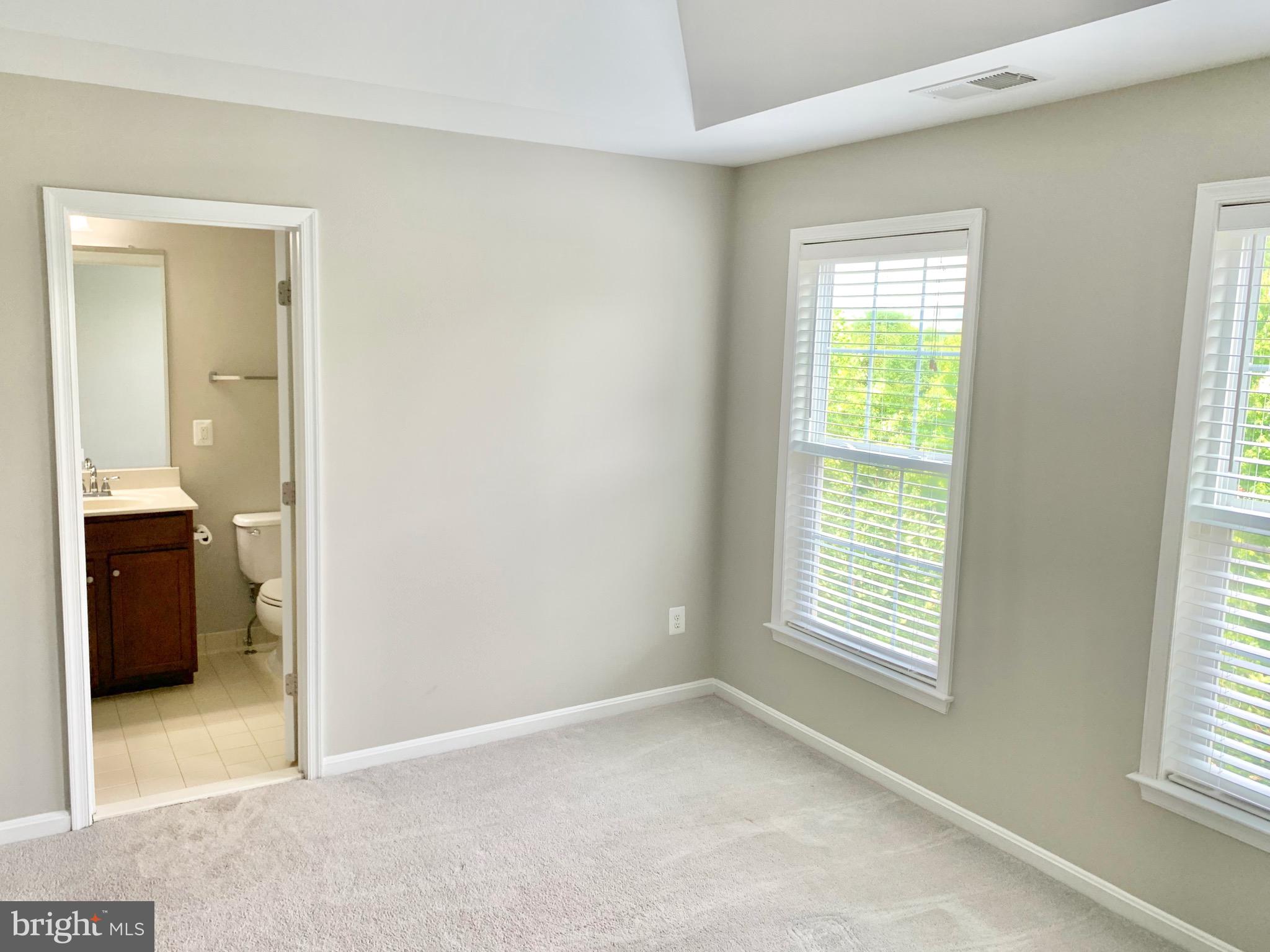 22646 WISPY GREEN TER