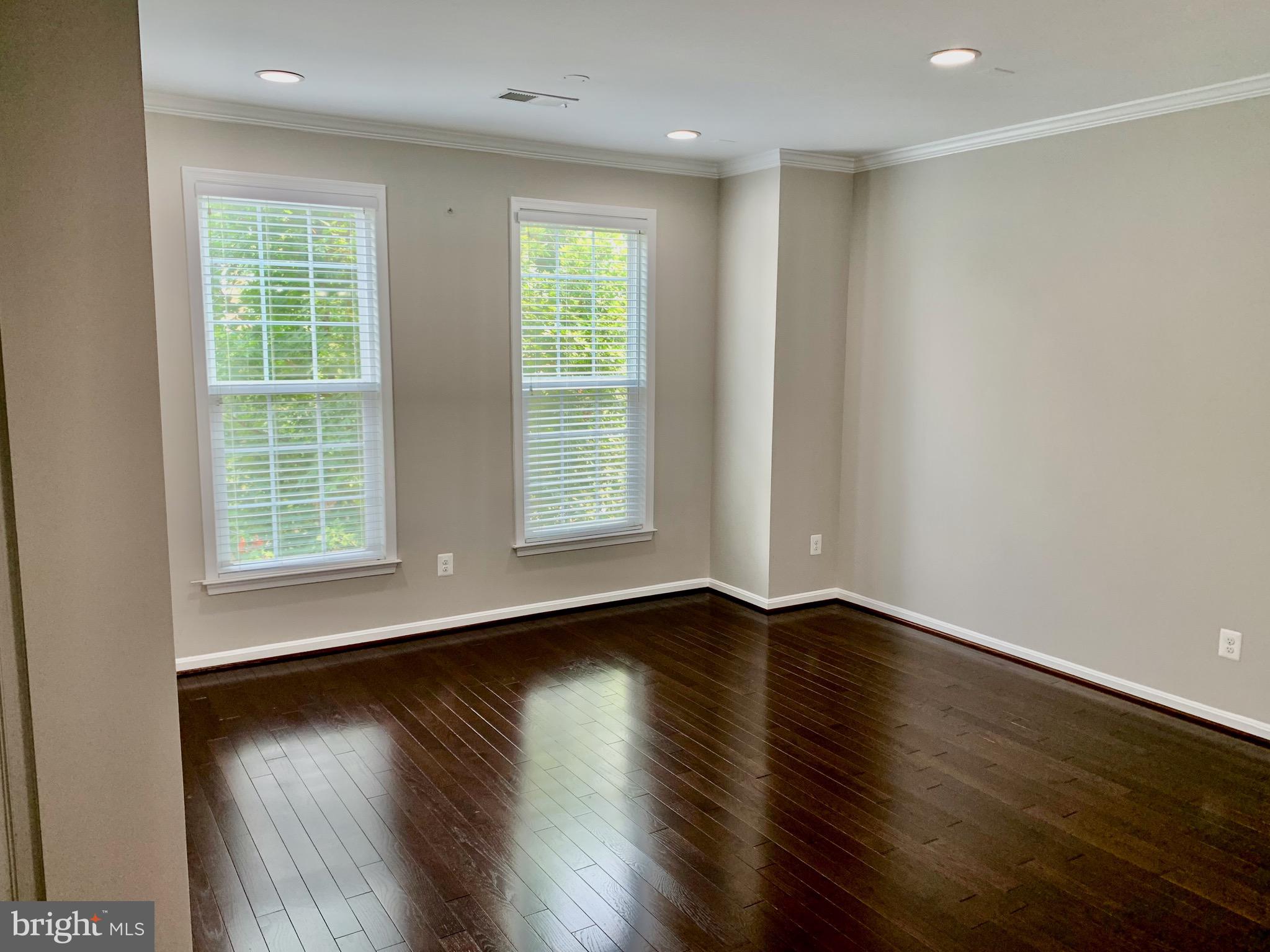 22646 WISPY GREEN TER