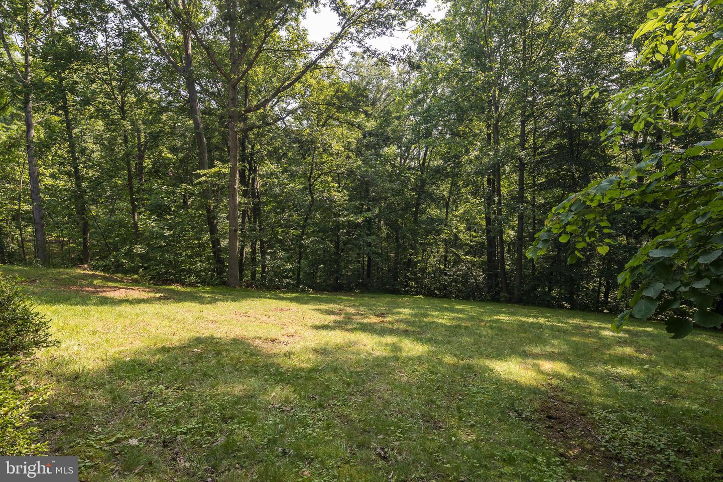 20808 Wild Goose Ln
