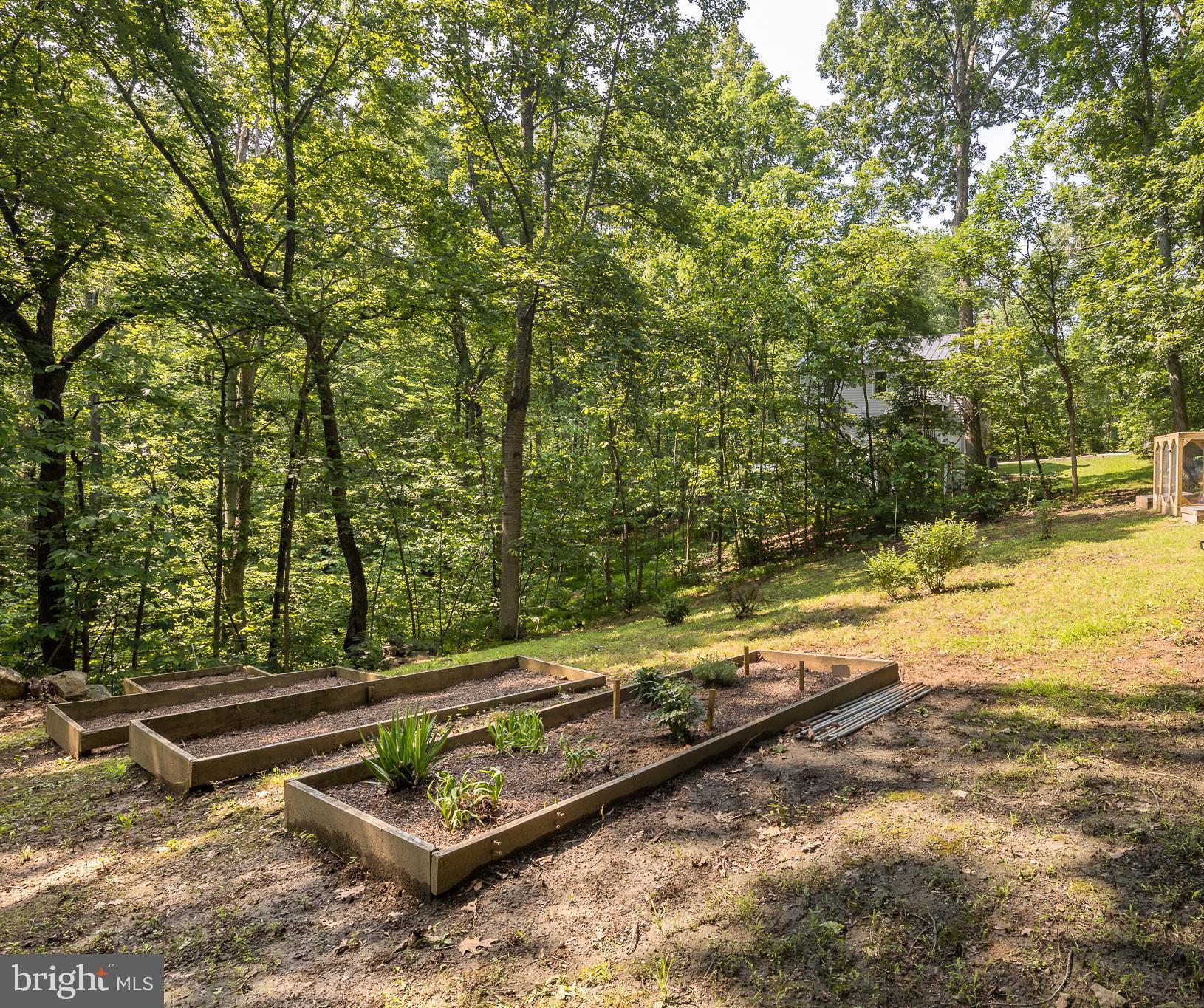 20808 Wild Goose Ln