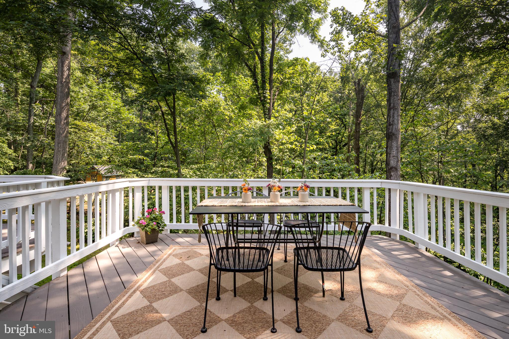 20808 Wild Goose Ln