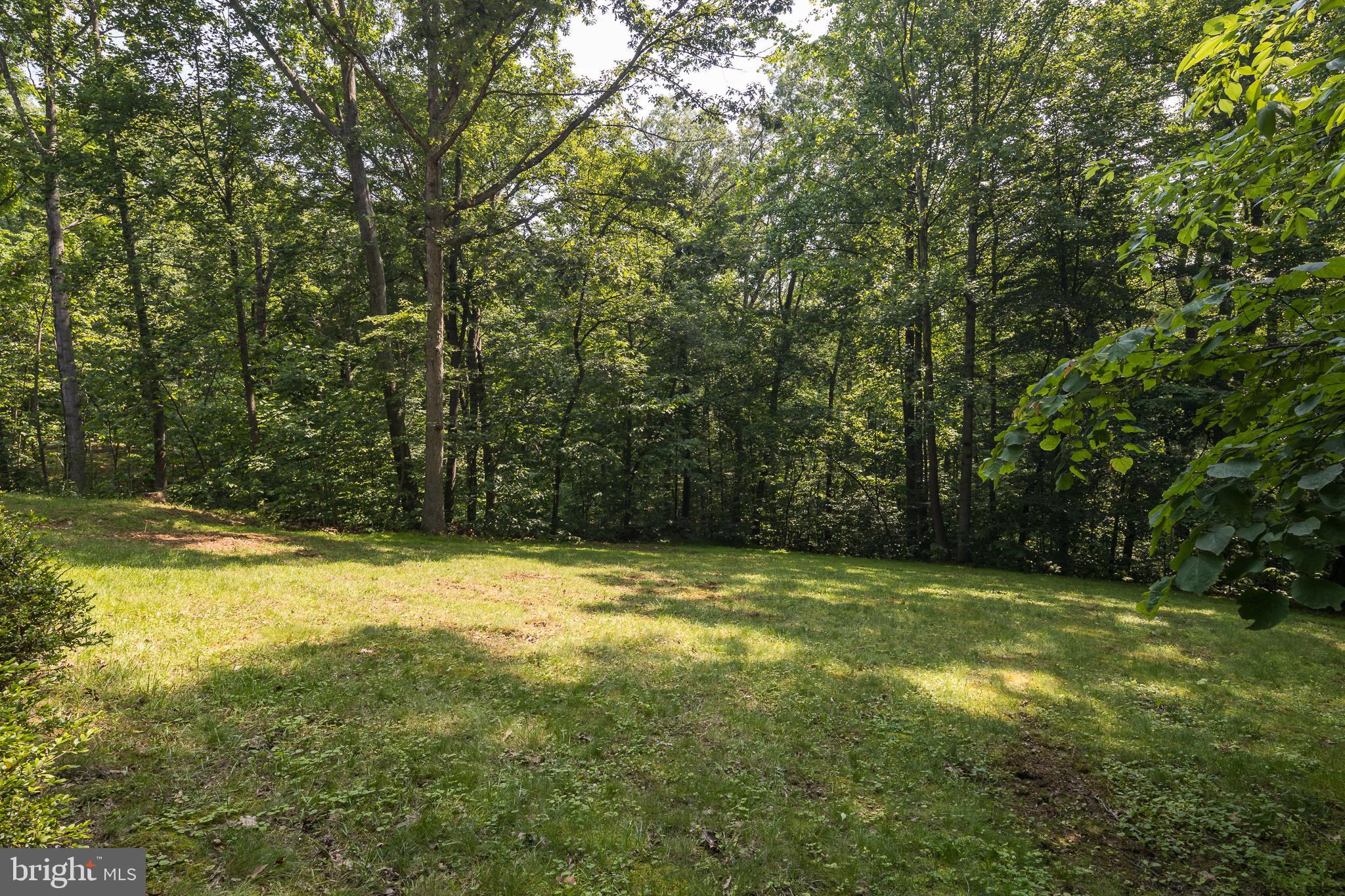 20808 Wild Goose Ln